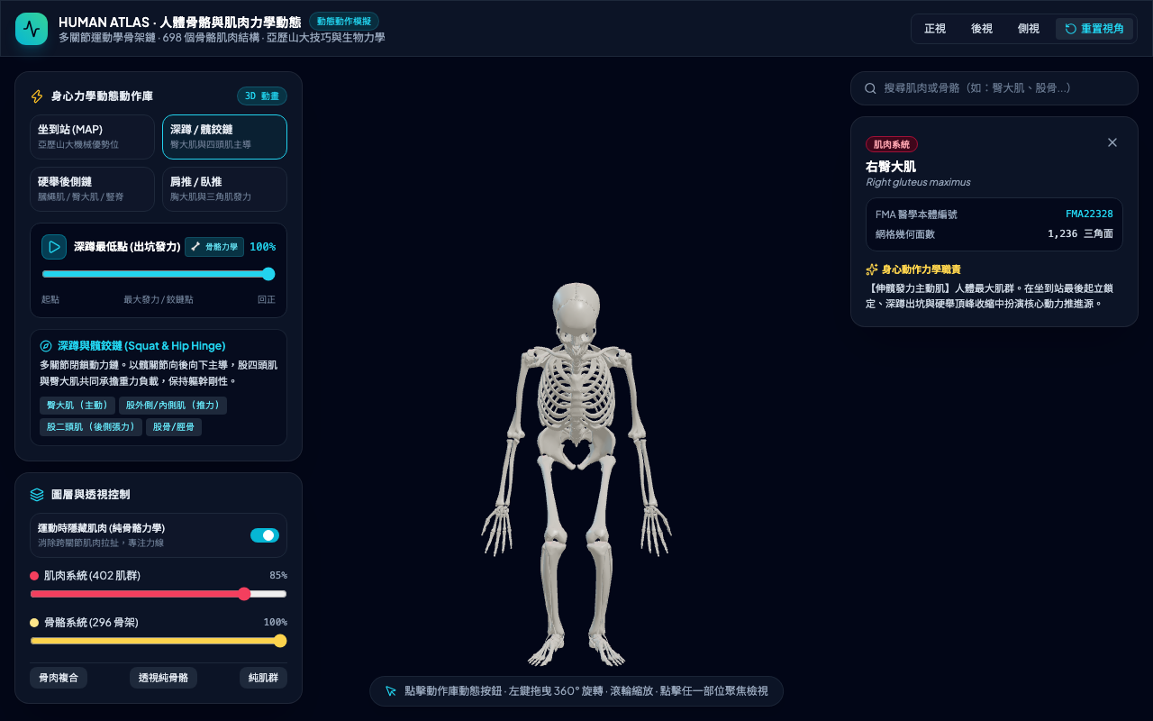 Dynamic Anatomy Engine