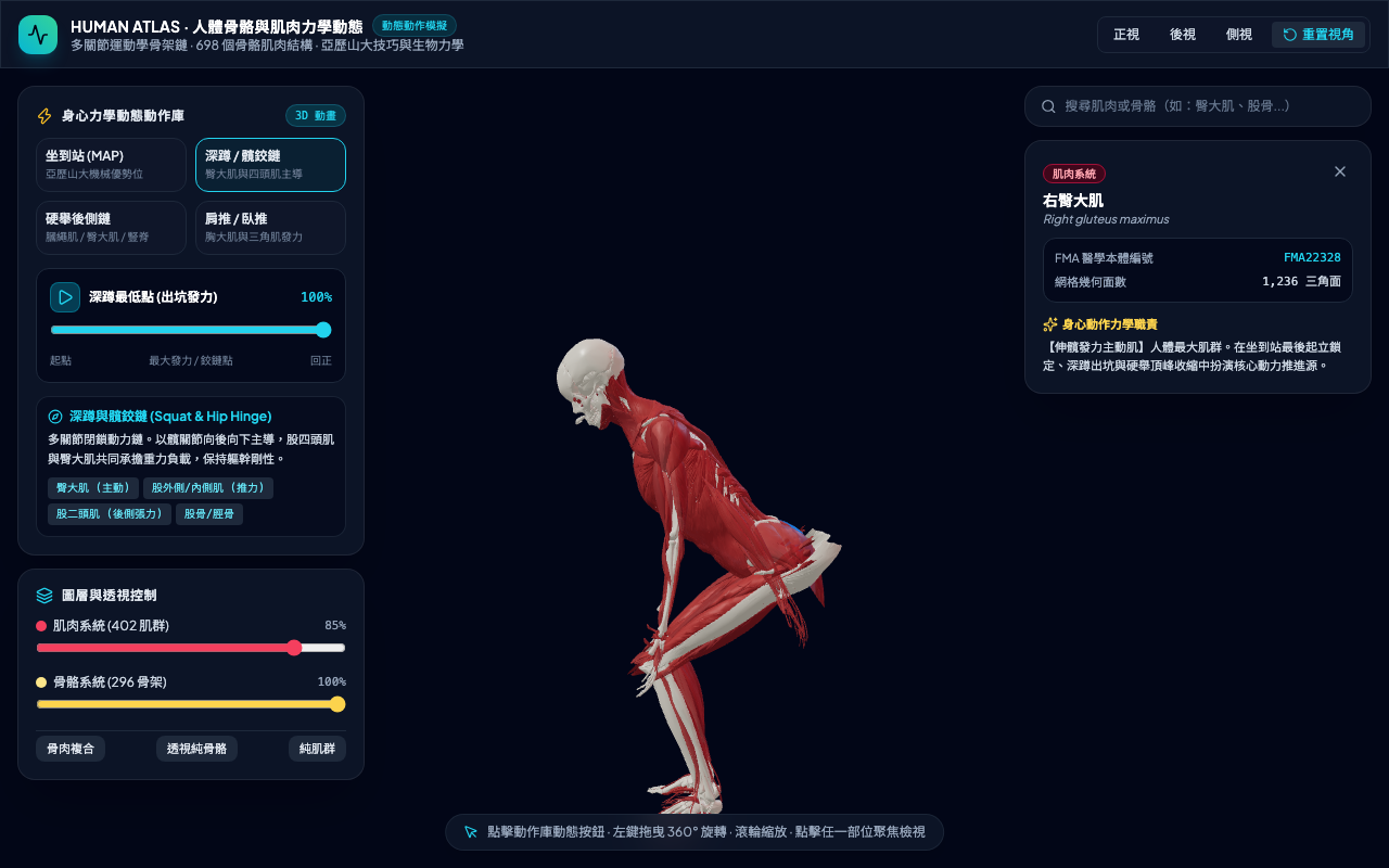 Dynamic 3D Biomechanical Skeleton